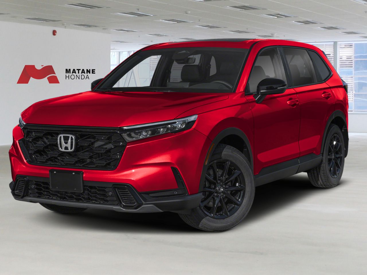 Cc 2026HOS082009210 01 1280 R569M