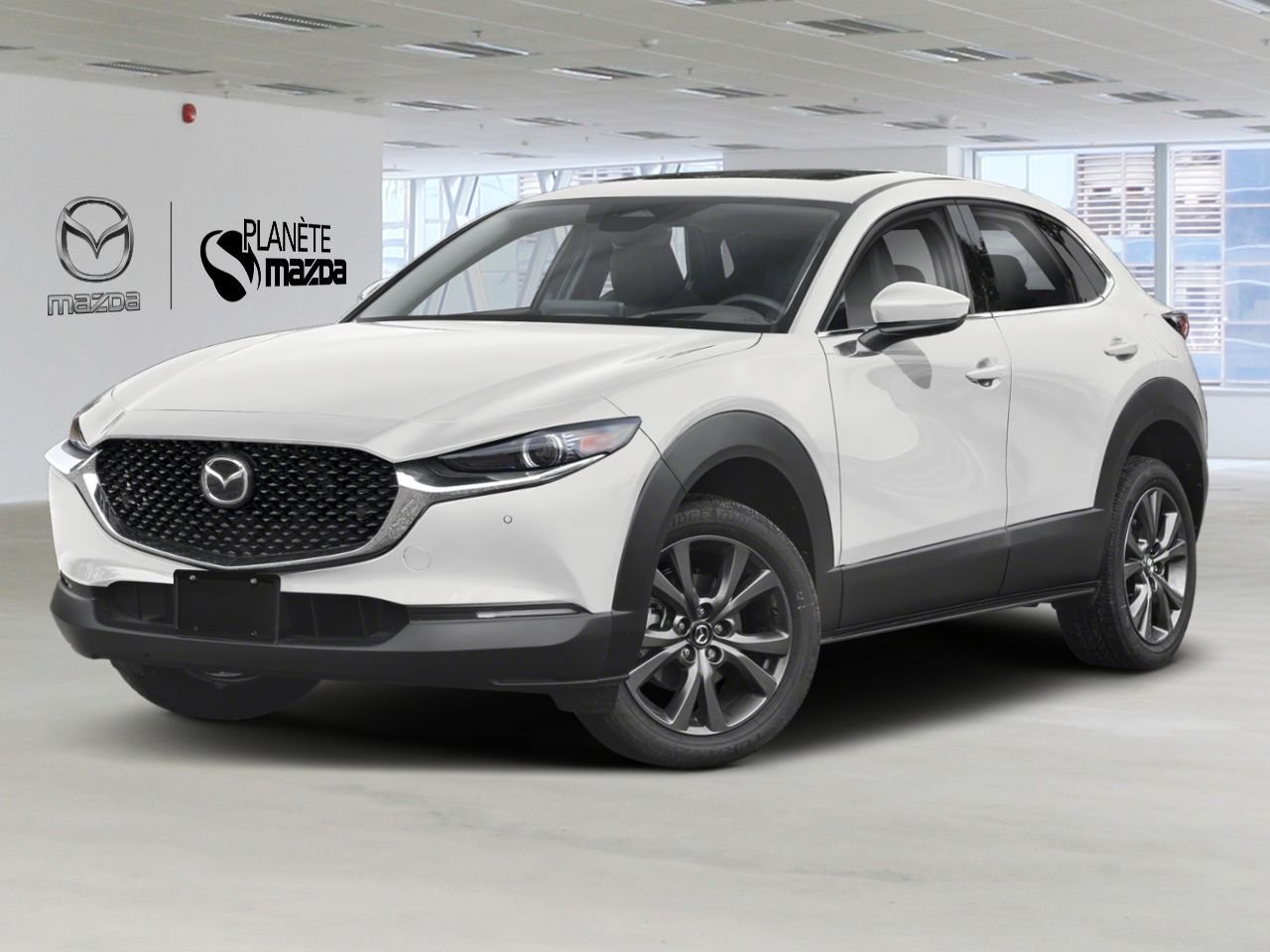 2025 Mazda CX-30 3MVDMBDM3SM861752 Snowflake White Pearl Mirabel - photo #0