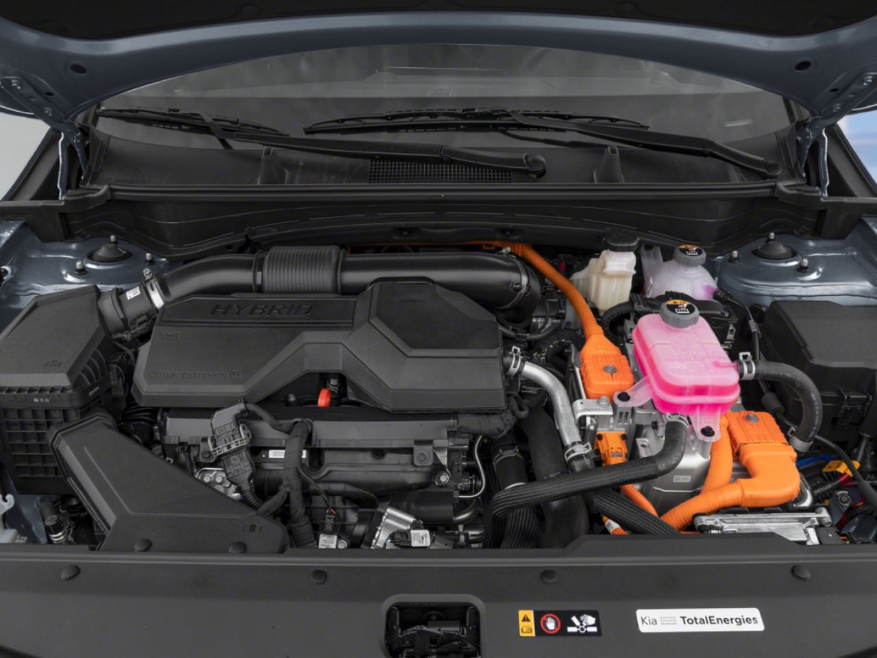 KIA SPORTAGE HEV EX 2026 Bleu Thetford Mines - photo #7