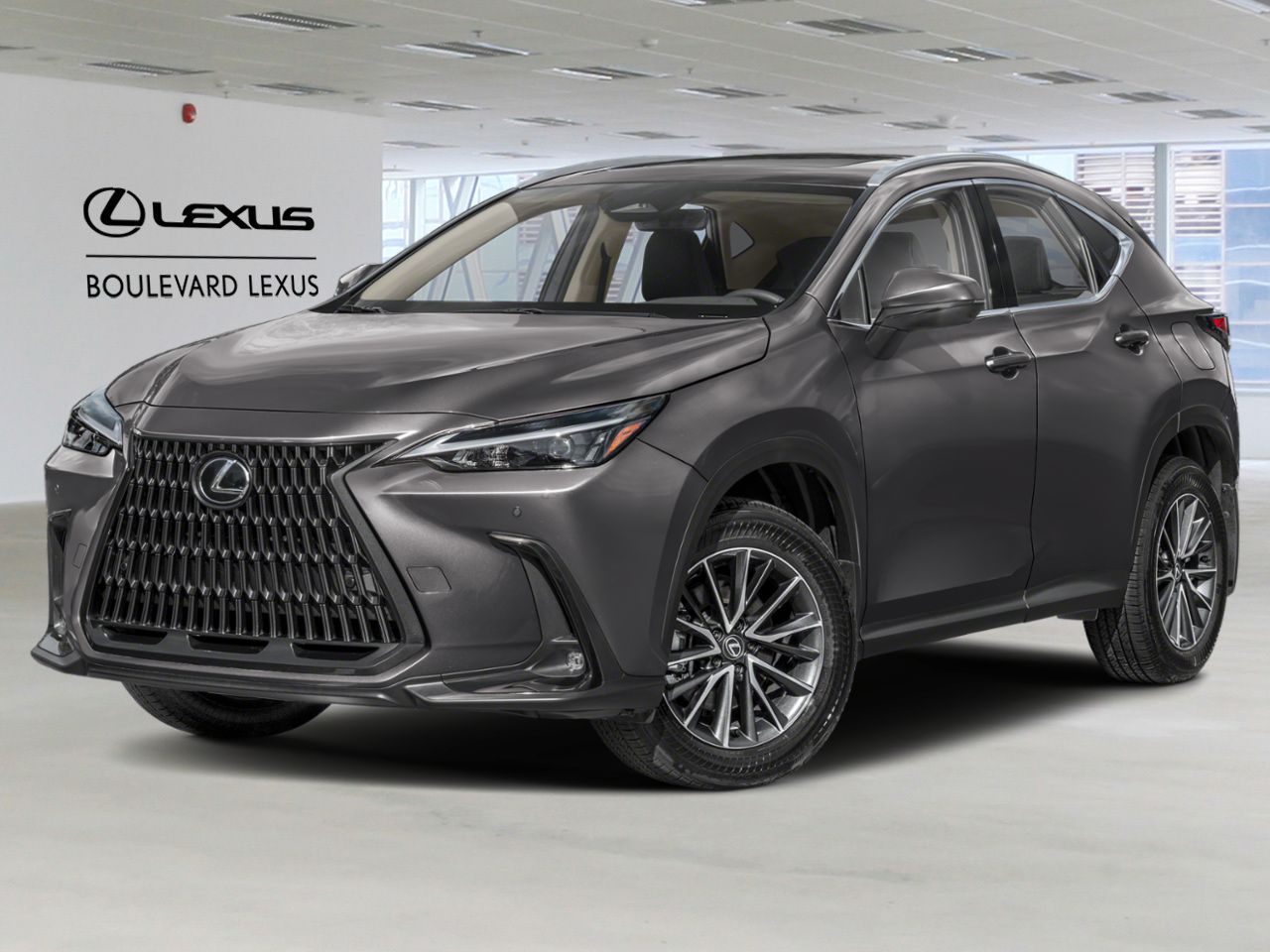 LEXUS NX 19232 2026 Gris orage Qu&eacute;bec - photo #0