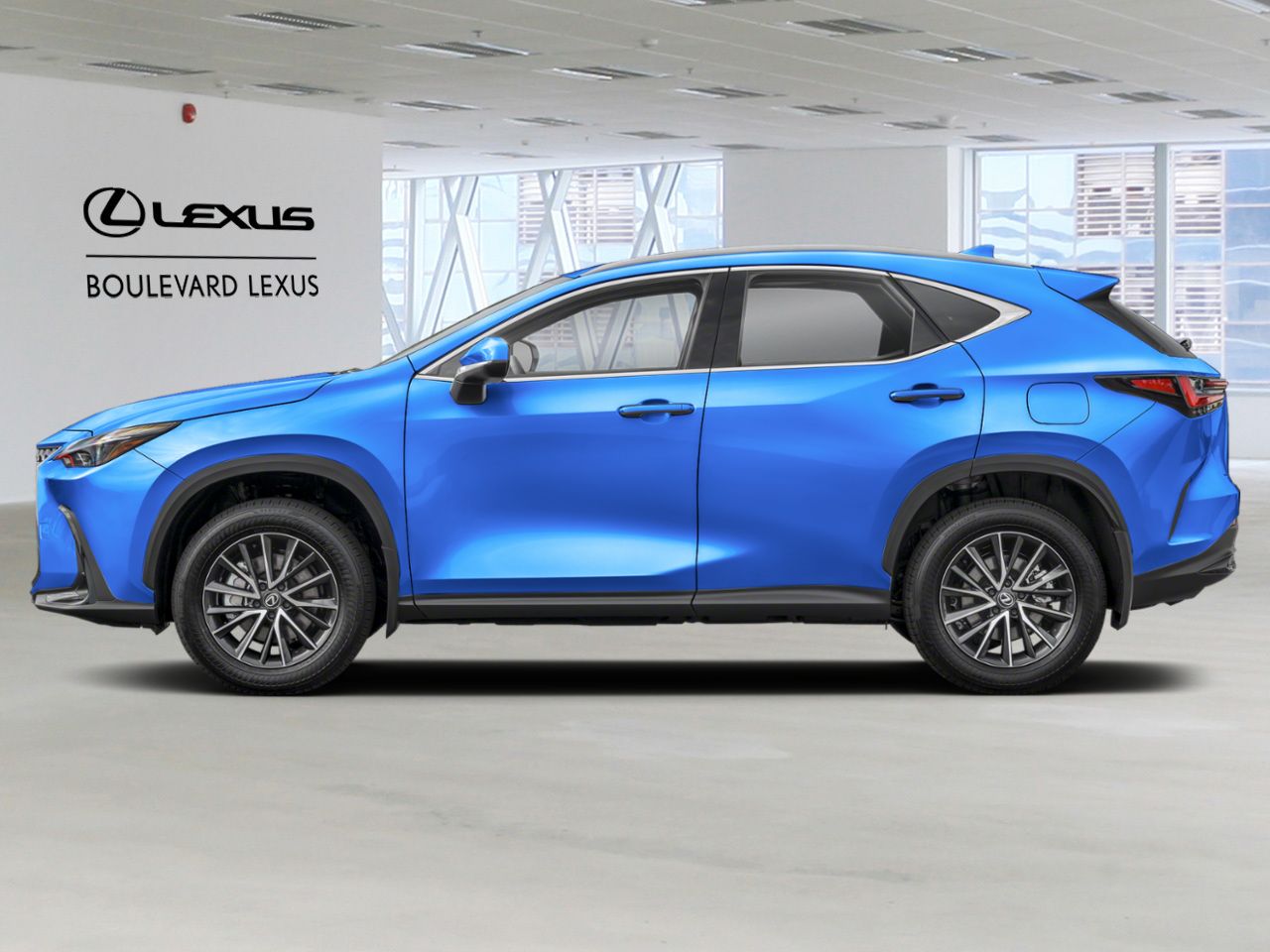2026 LEXUS NX Grecian Water Quebec - photo #1