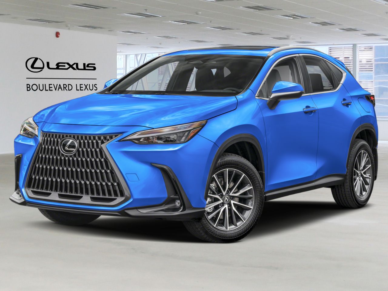 2026 LEXUS NX Grecian Water Quebec - photo #0