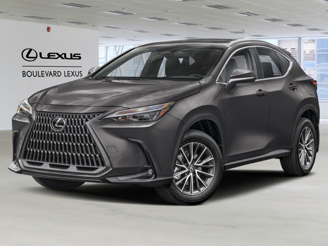 Lexus NX 19637 2026 Gris Qu&eacute;bec - photo #0