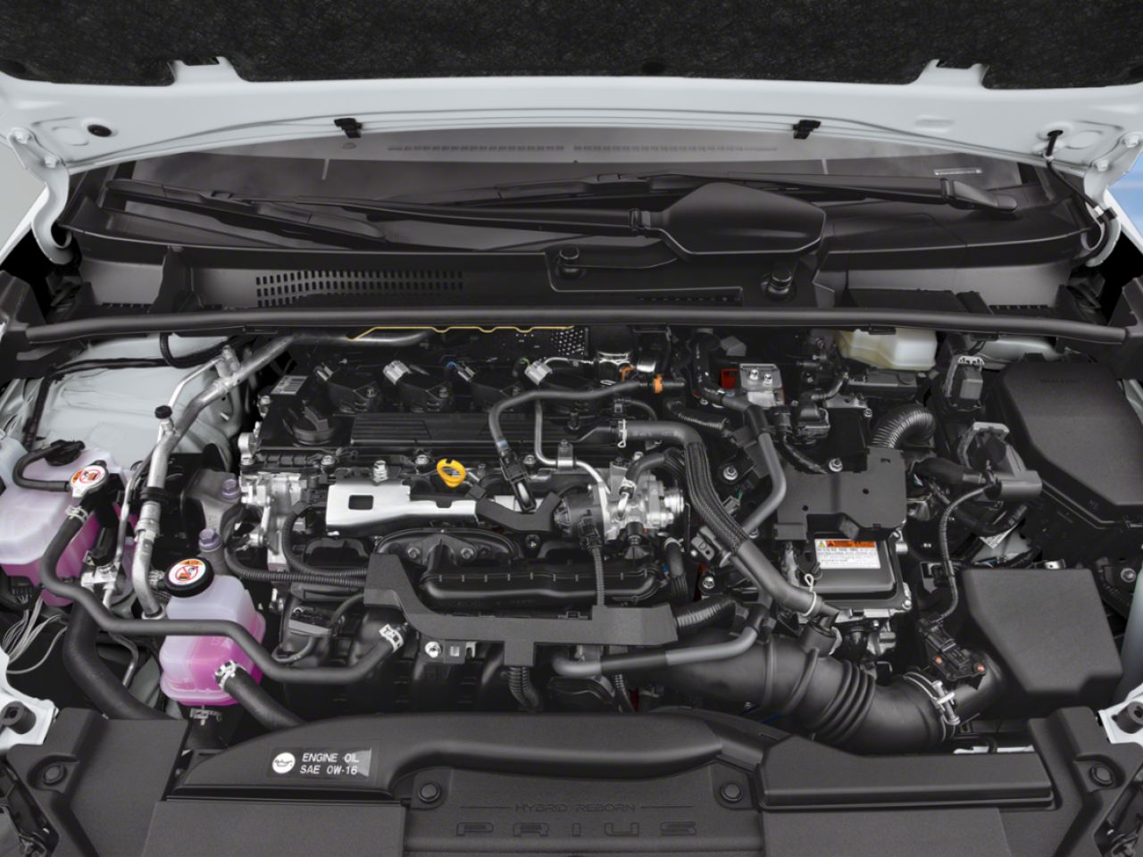 Toyota Prius XLE 2026 Rouge supersonique Sherbrooke - photo #3