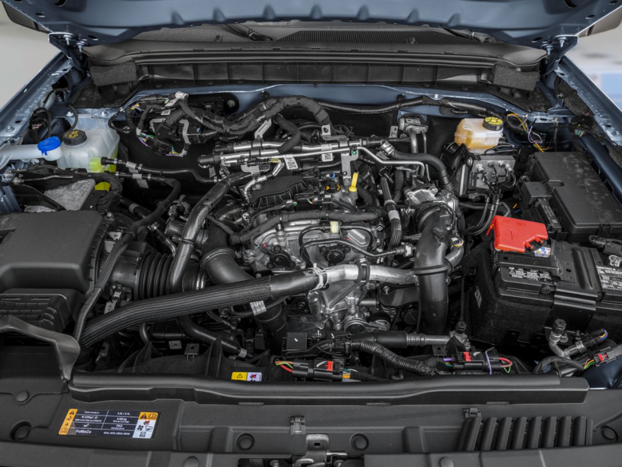 2026 Ford Bronco Marsh Grey Montmagny - photo #11