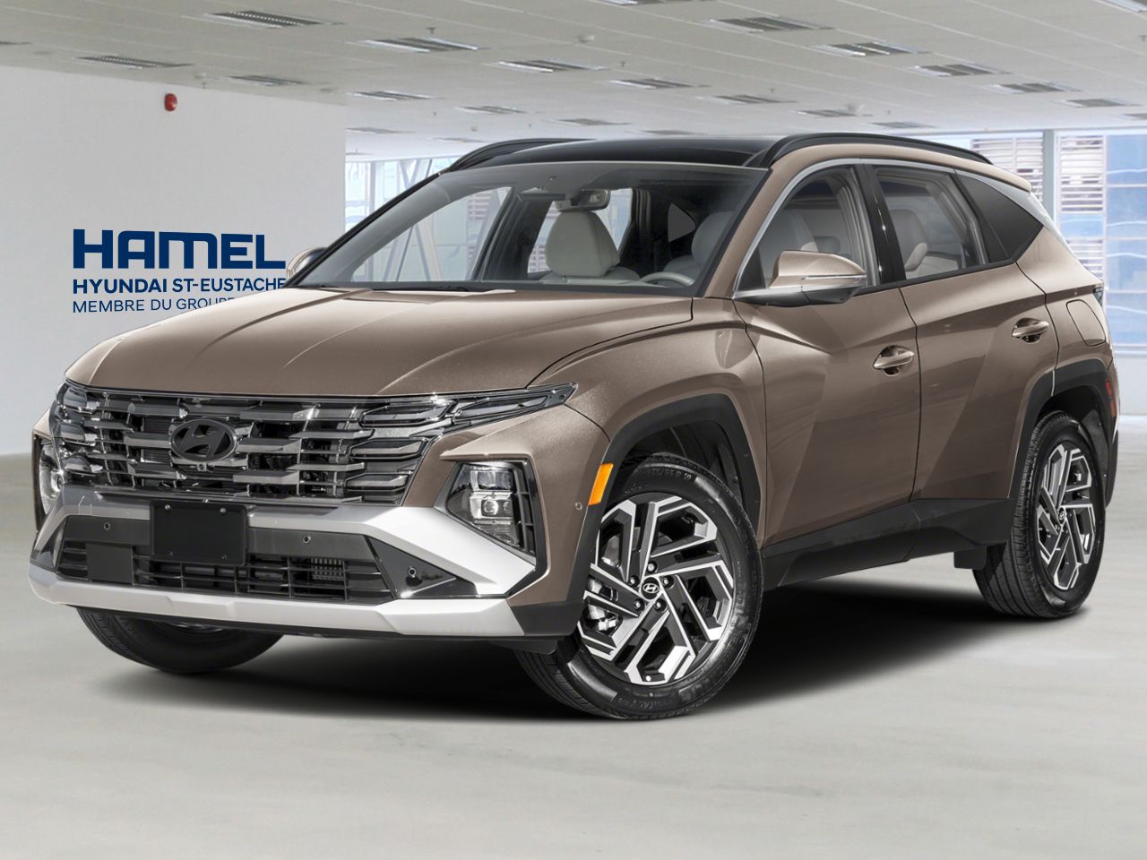 HYUNDAI Tucson hybride 2026 Bronze cachemire Saint-Eustache - photo #0