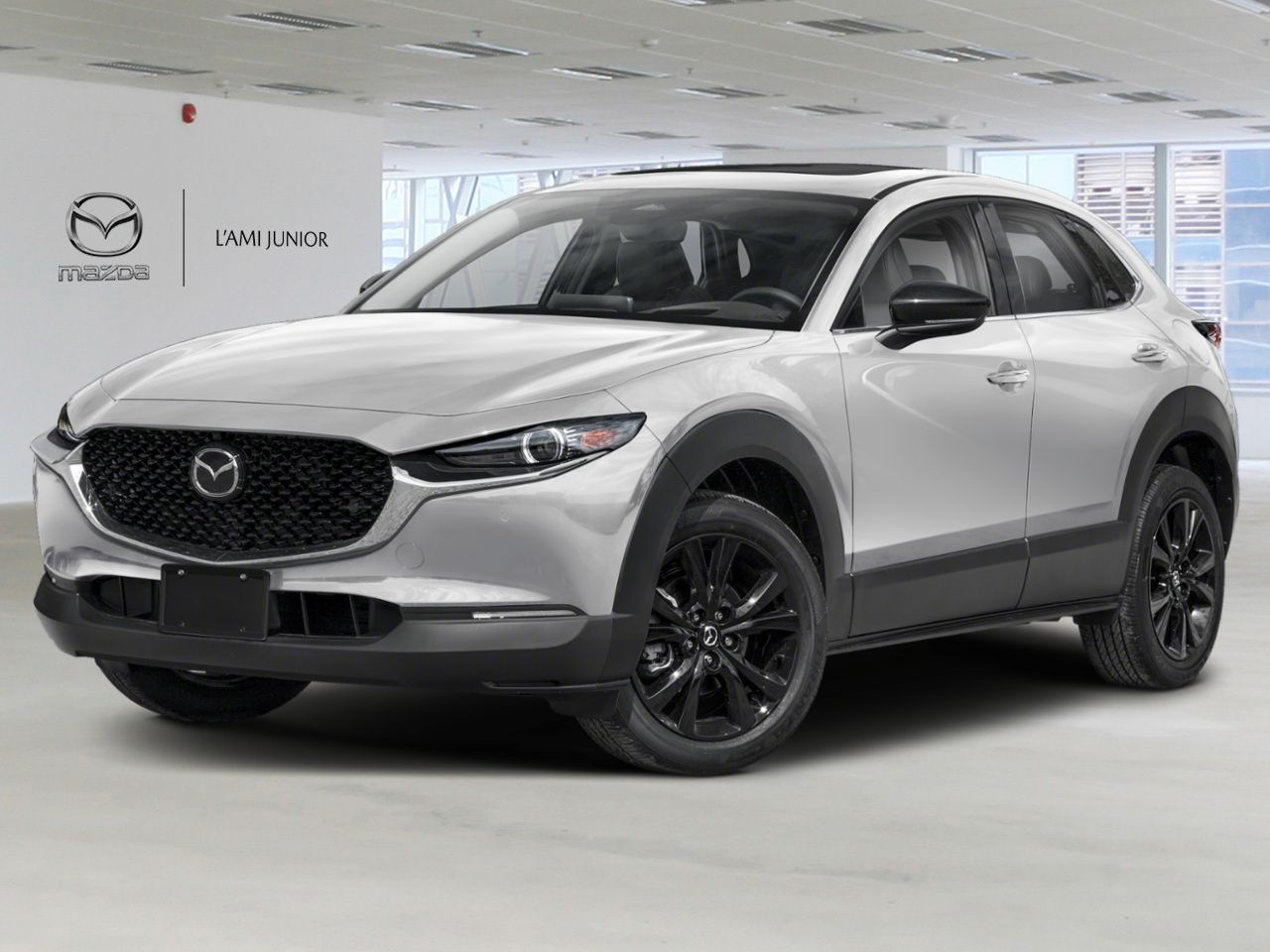 2025 Mazda CX-30 VIN 3MVDMBDY9SM867221 Ceramic Metallic Chicoutimi - photo #0