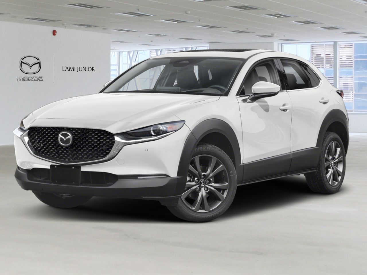 2025 Mazda CX-30 VIN 3MVDMBDM8SM866865 Snowflake White Pearl Chicoutimi - photo #0