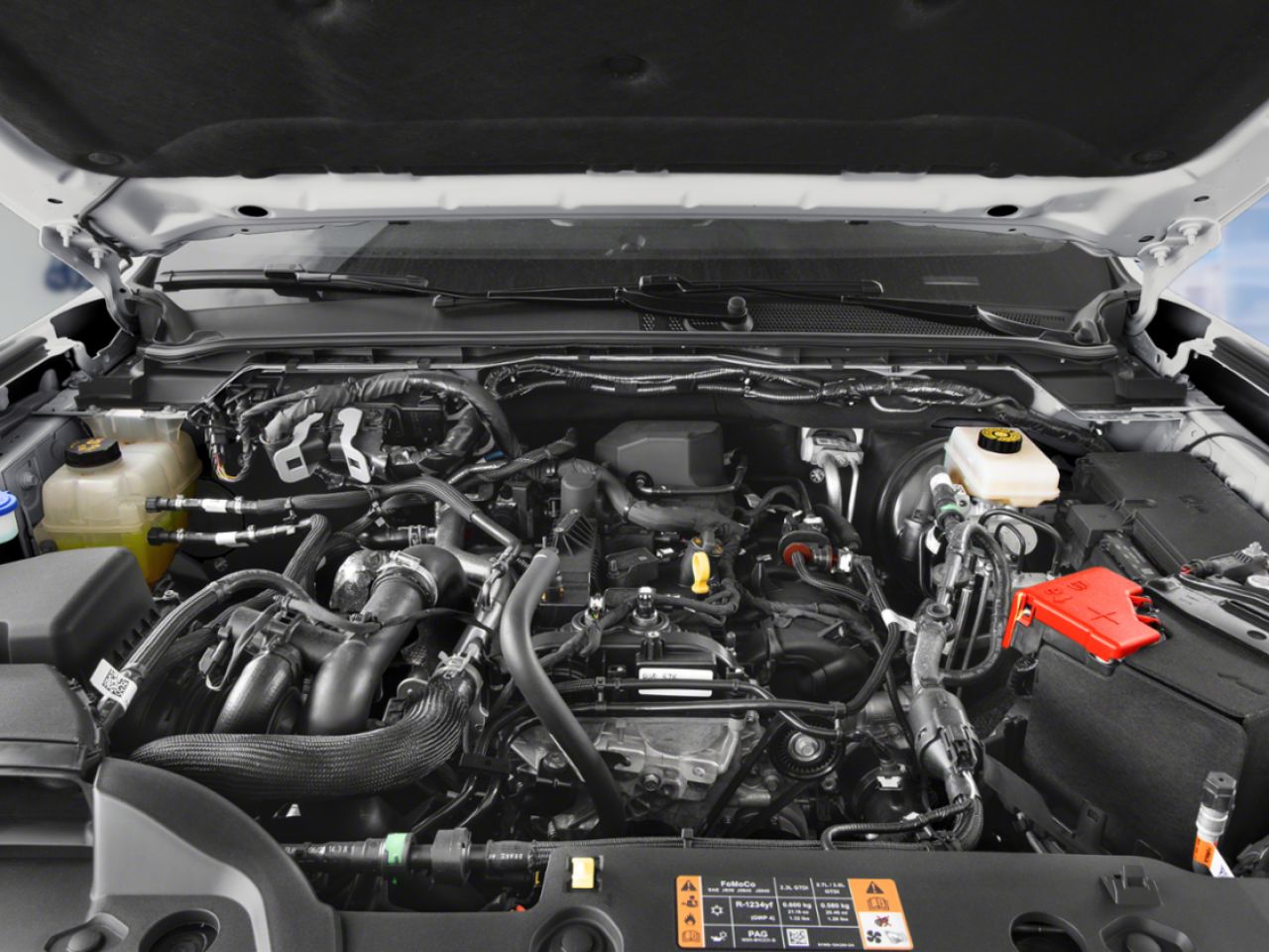 2026 Ford Ranger White Sainte-Julienne - photo #10