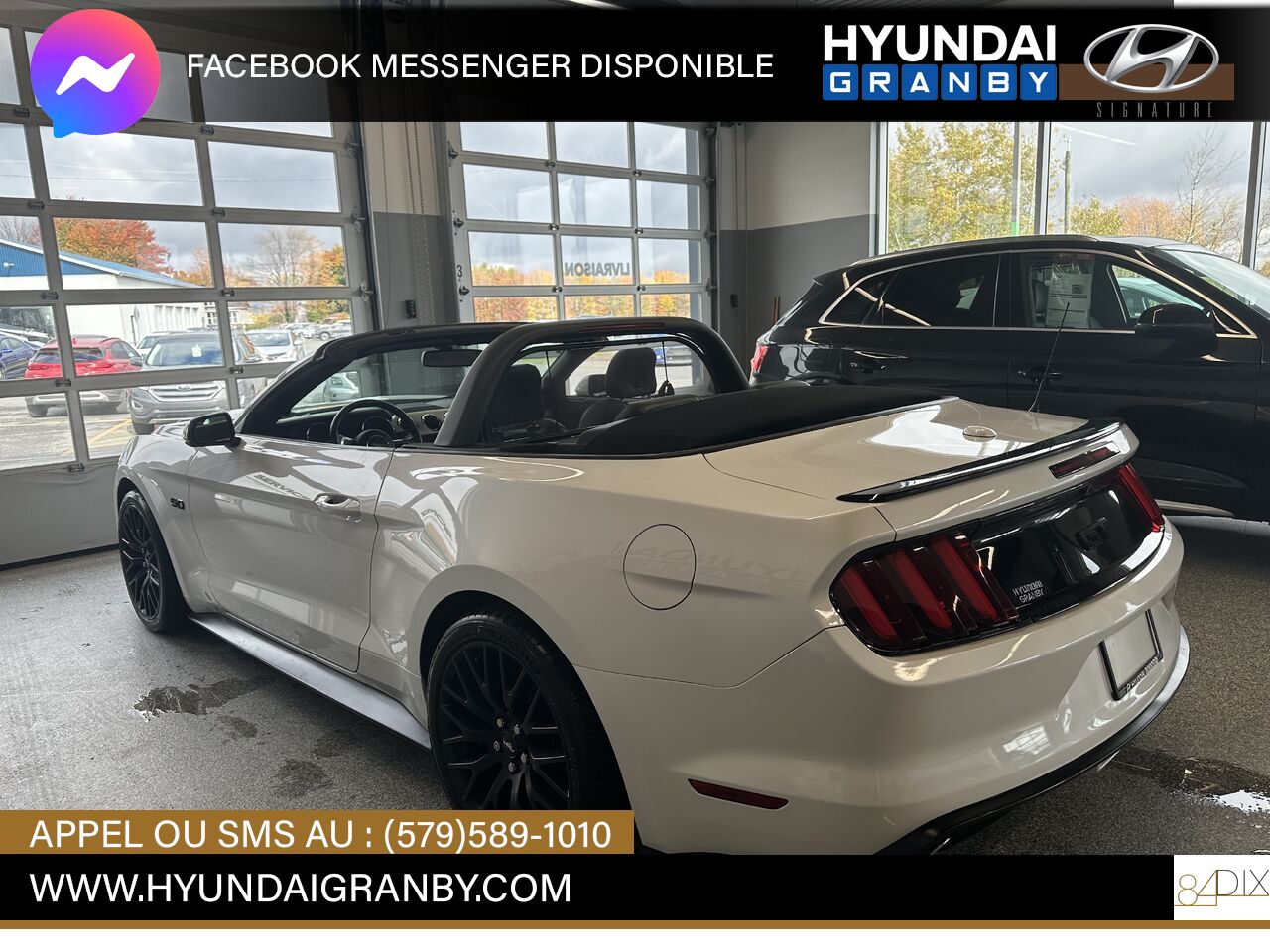 2017 Ford Mustang Granby - photo #5