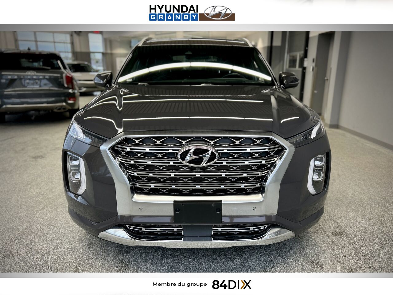 Hyundai Palisade 2020 Brun Granby - photo #2