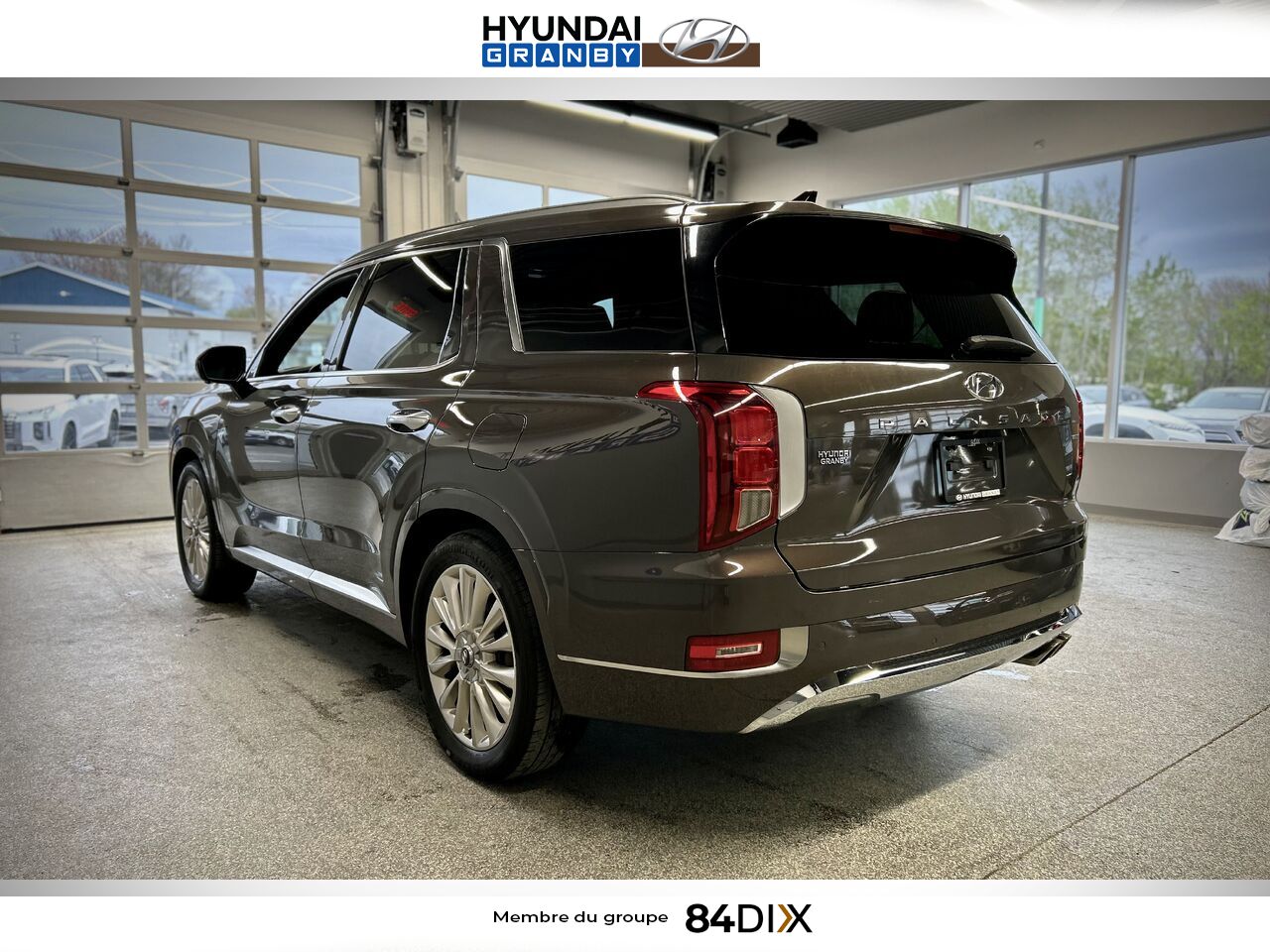 Hyundai Palisade 2020 Brun Granby - photo #4