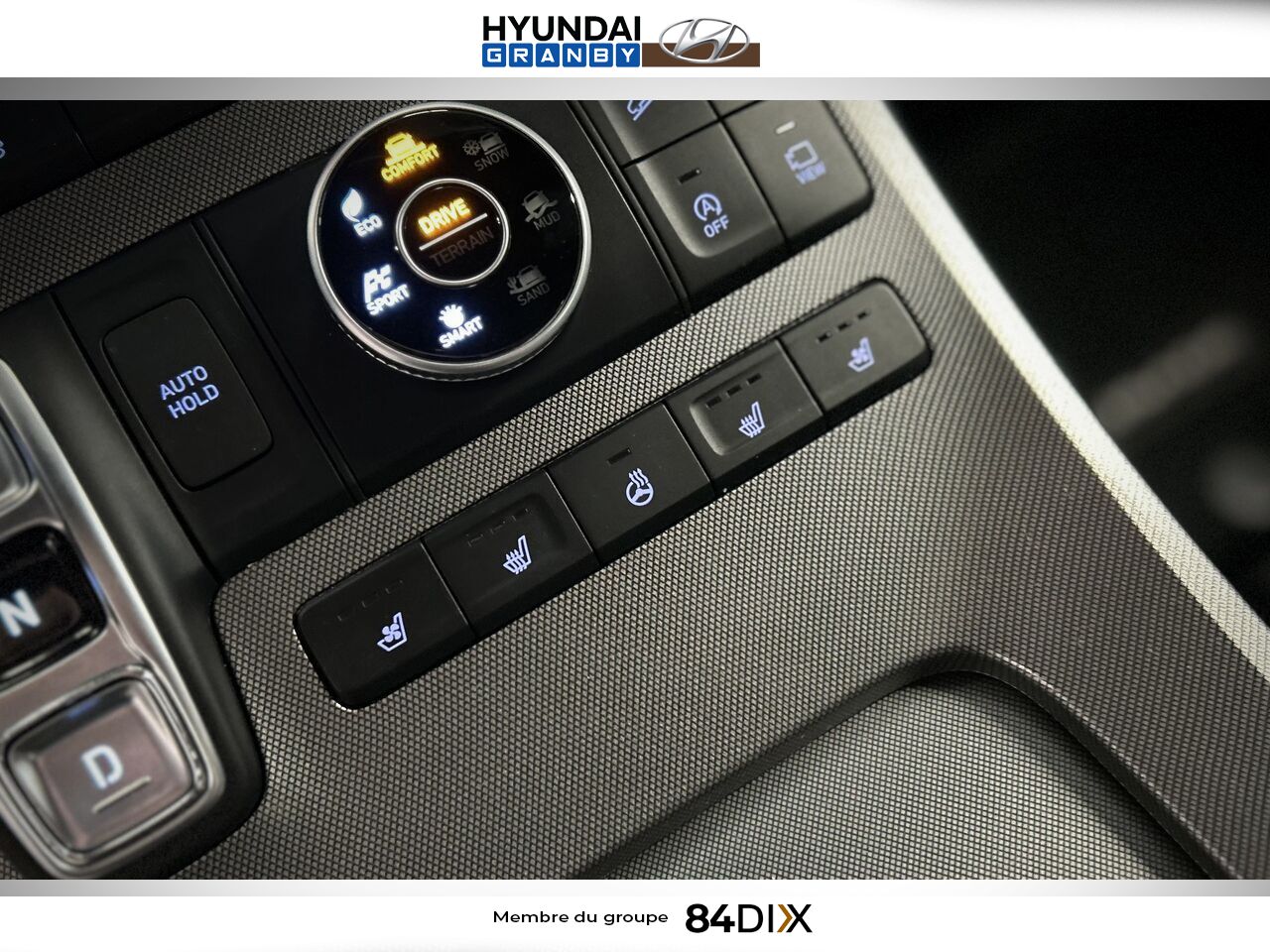Hyundai Palisade 2020 Brun Granby - photo #19