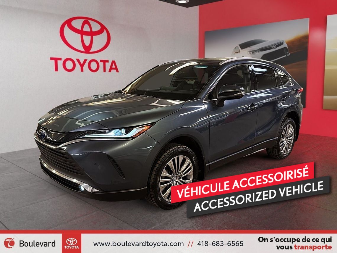 2024 Toyota Venza XLE AWD