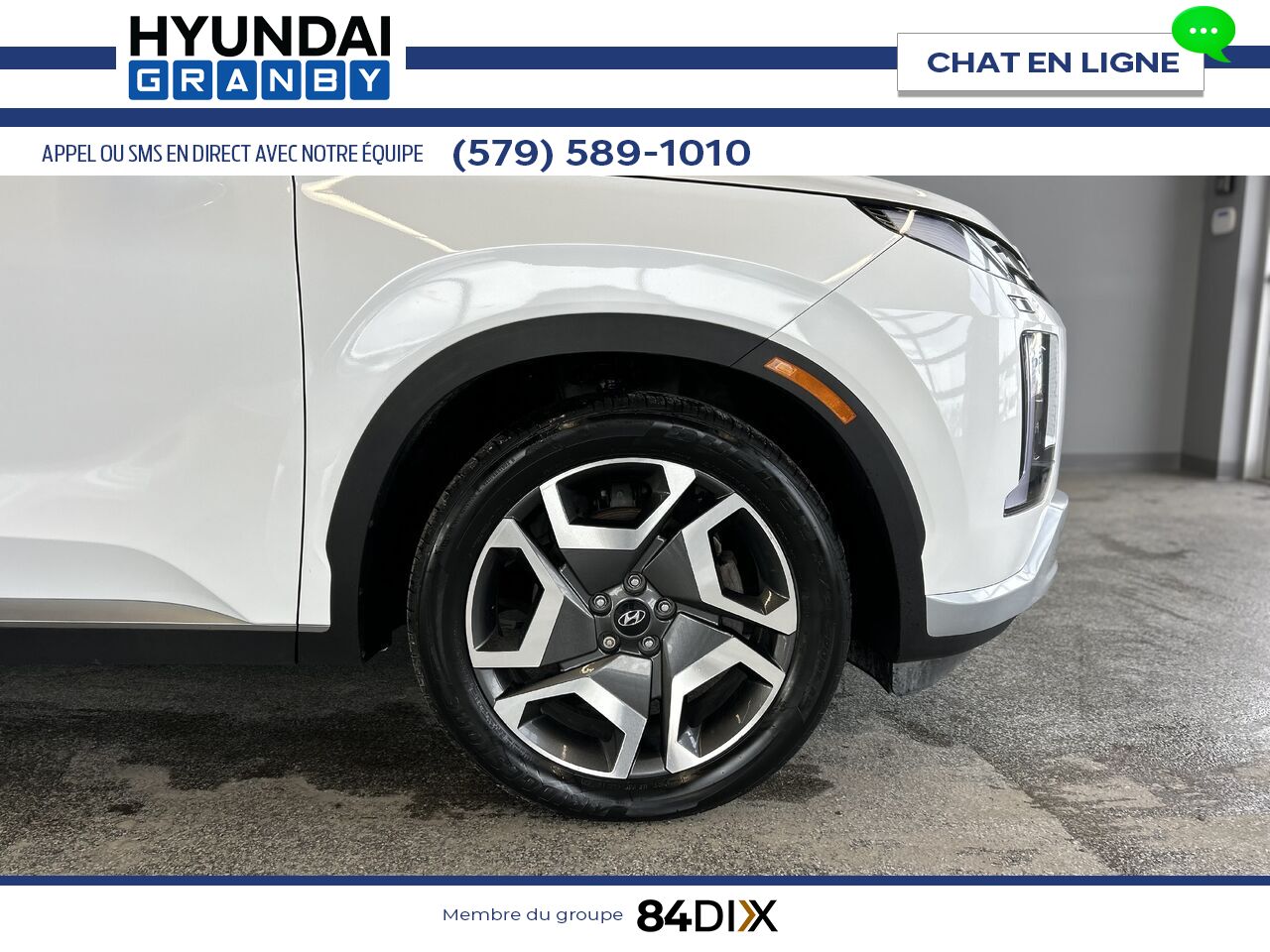 Hyundai Palisade 2023 Blanc Granby - photo #8