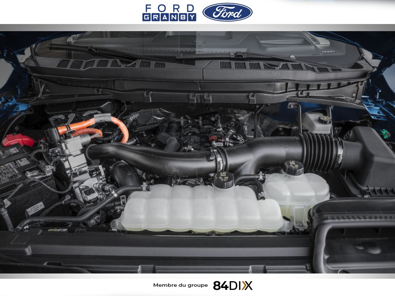 2026 Ford F-150 Ruby Red Metallic Tinted Clearcoat Granby - photo #9